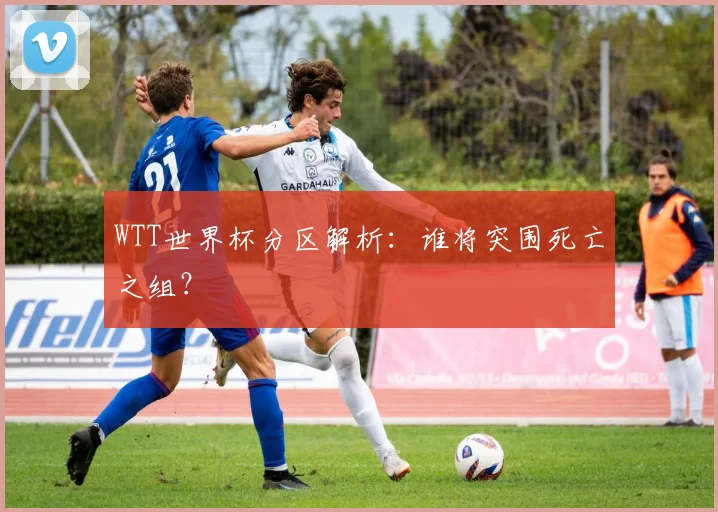 WTT世界杯分区解析:谁将突围死亡之组?
