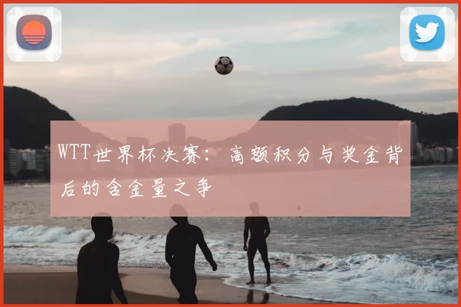 WTT世界杯决赛:高额积分与奖金背后的含金量之争