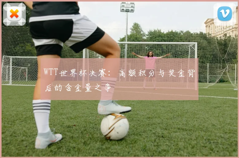 WTT世界杯决赛:高额积分与奖金背后的含金量之争