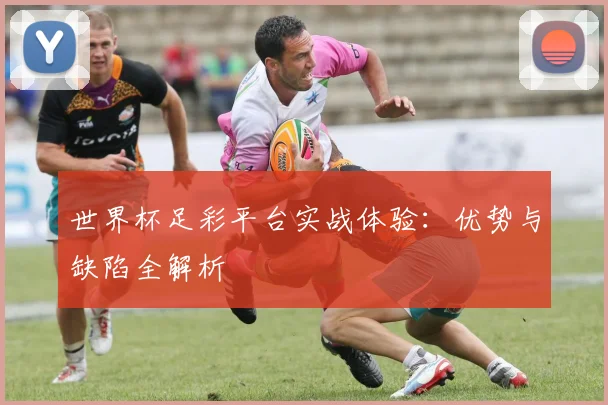 世界杯足彩平台实战体验：优势与缺陷全解析