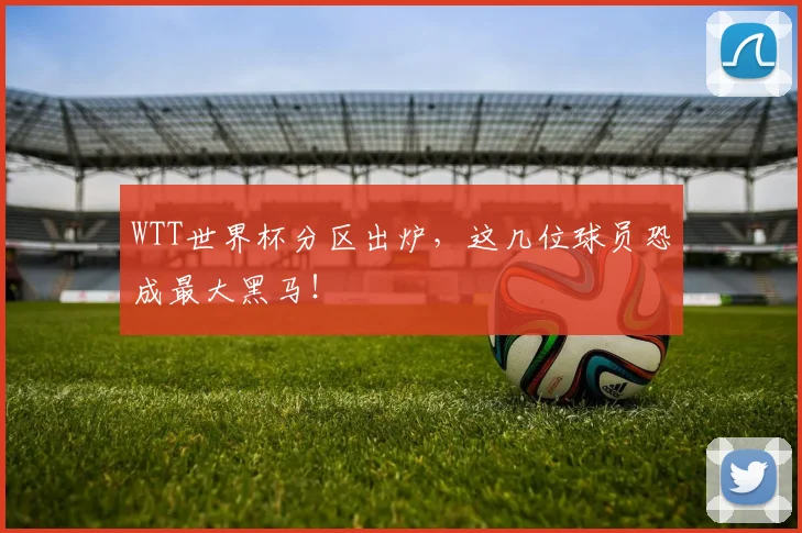 WTT世界杯分区出炉，这几位球员恐成最大黑马！