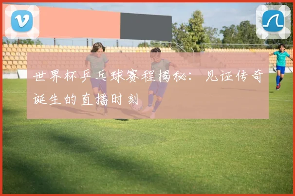 世界杯乒乓球赛程揭秘：见证传奇诞生的直播时刻